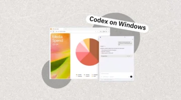 OpenAI تتيح تطبيق Codex لمستخدمي نظام Windows عبر متجر Microsoft المرتقب